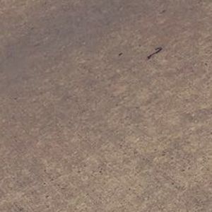 Meet your Posher, Yanet